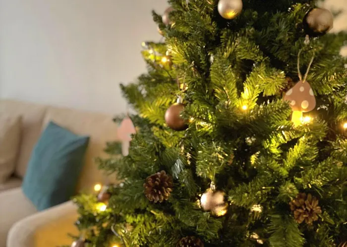 Urban Spot Coresi Apartment *